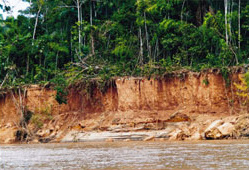 Explorers Inn: Salzlecke (Collpa)