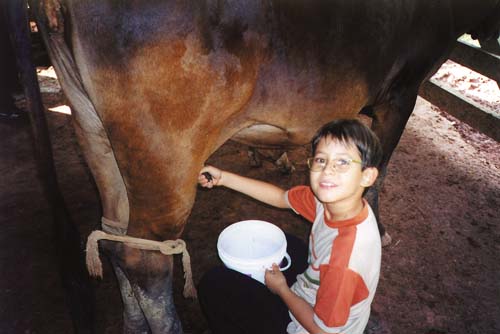 Vacaciones en Pozuzo