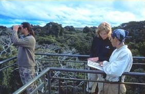Posada Amazonas, Aussichtsturm