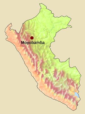Moyobamba